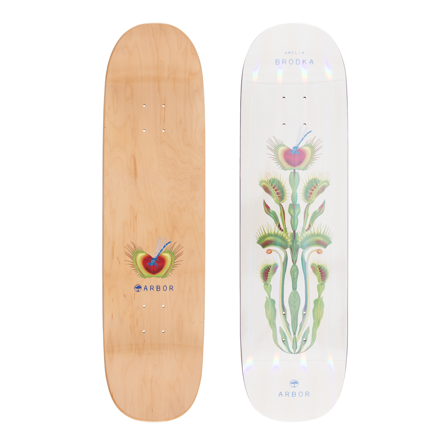 Arbor Amelia Brodka Pro Skateboard Deck - Amelia Venus 8.5