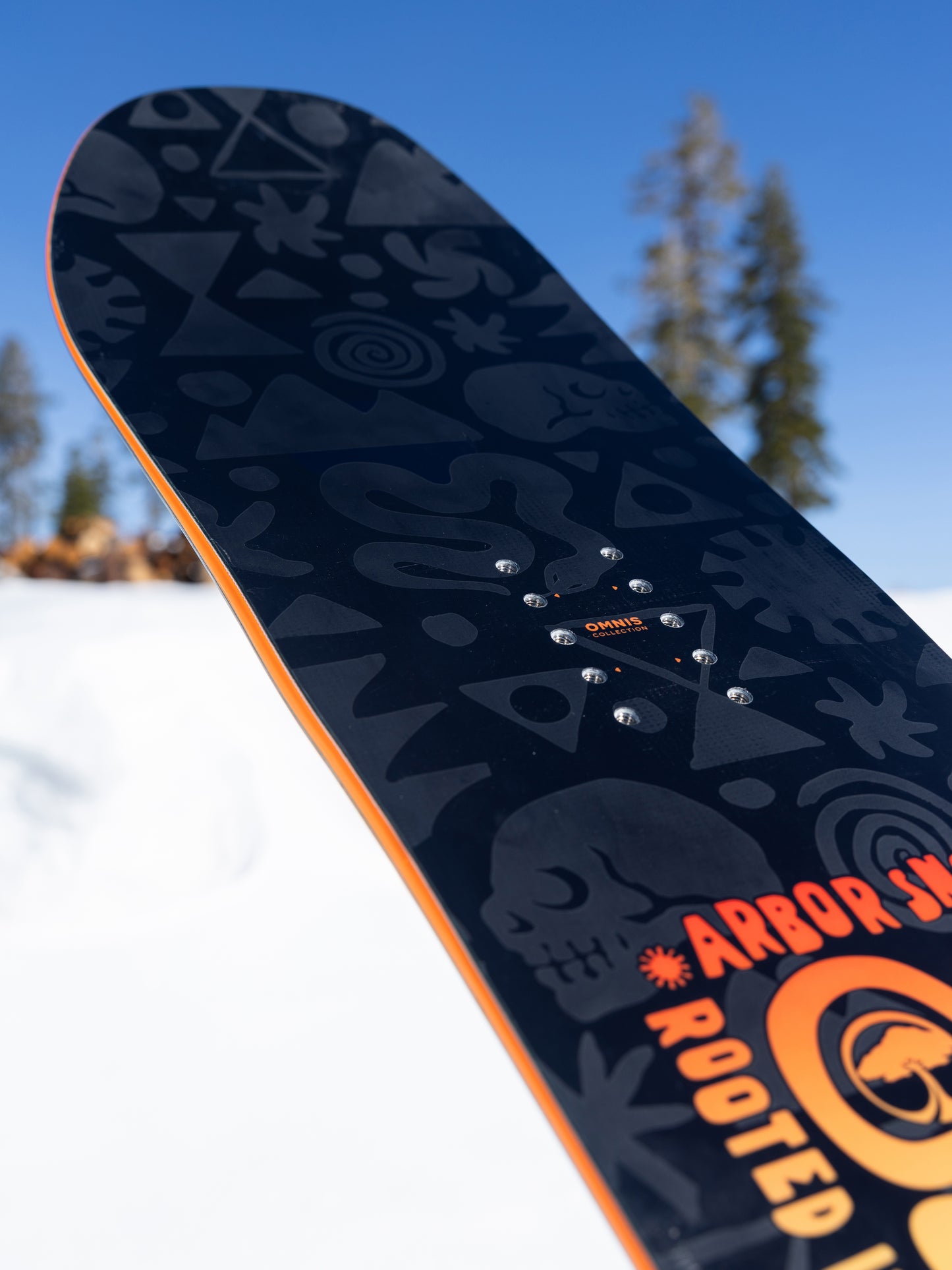 Scion Snowboard