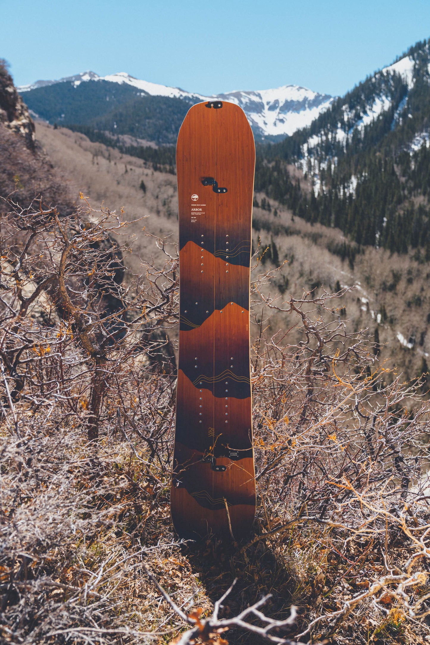 Swoon Splitboard Camber