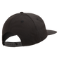Arbor Apparel - Anatomy Cap - back