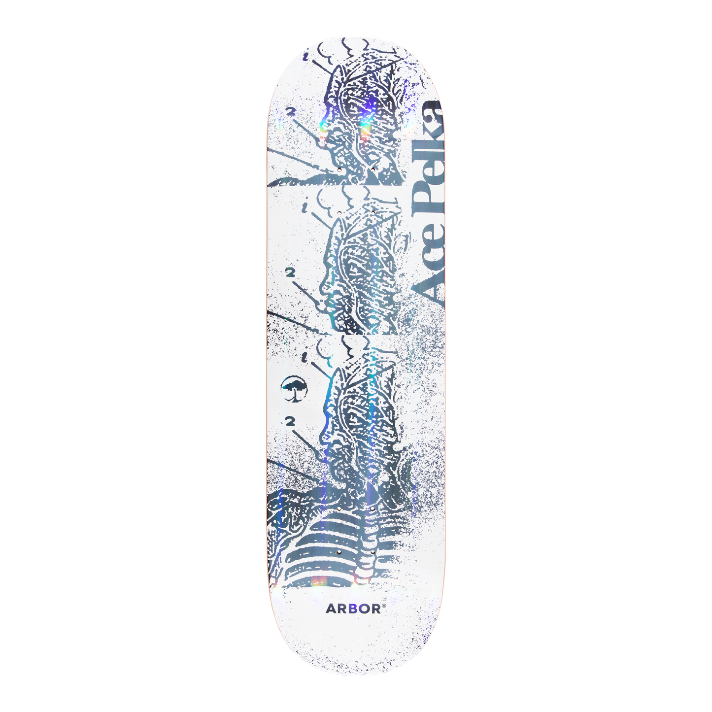 Arbor Ace Pelka Pro Skateboard Deck - Anatomy 8.75 - graphic
