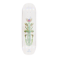 Arbor Amelia Brodka Pro Skateboard Deck - Amelia Venus 8.5 - graphic