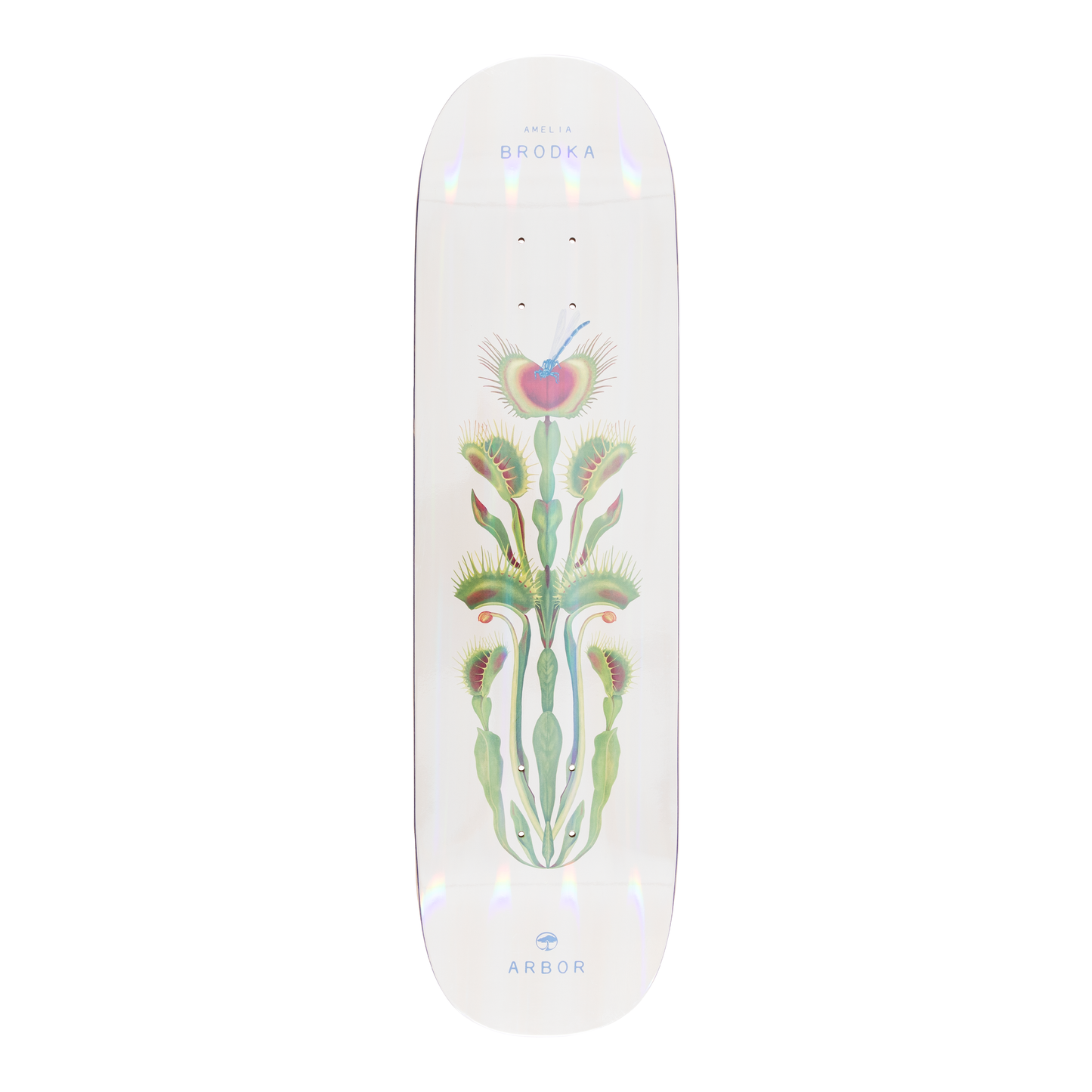 Arbor Amelia Brodka Pro Skateboard Deck - Amelia Venus 8.5 - graphic