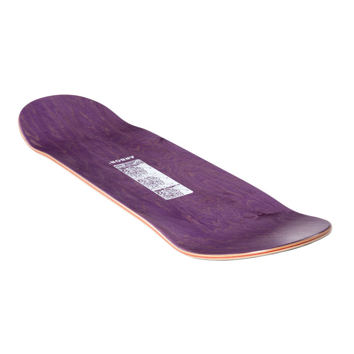 Ace Pelka Anatomy 8.5