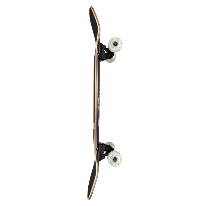 Shakedown 34 Scorpion