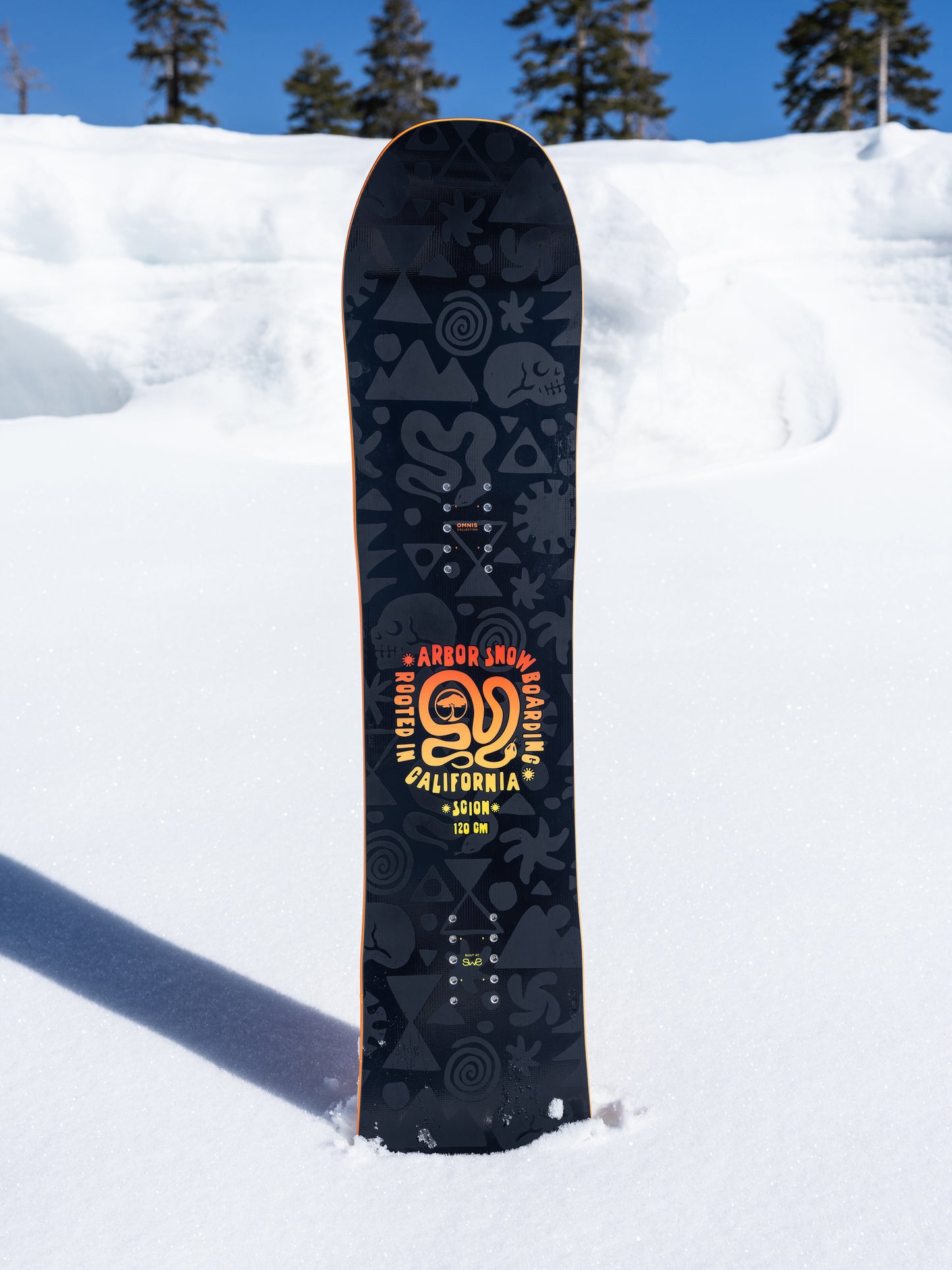 Scion Snowboard