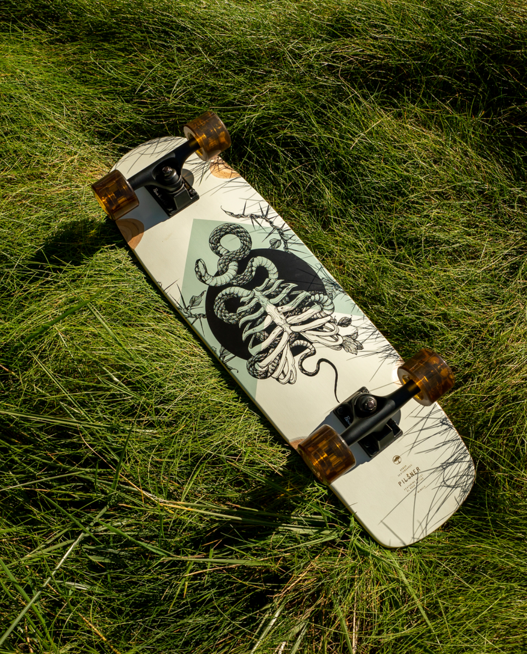 Shakedown Series – Arbor Collective